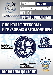 Комплект TS-56D Шиномонтажный стенд+TS-950 Балансировочный станок