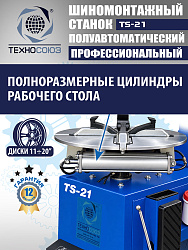 Станок шиномонтажный TS-21